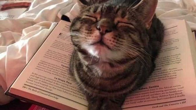 Bazı insanlar kitap okuyan kişilerden neden rahatsız olur?