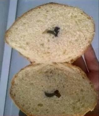 Bol zeytinli poğaça sever misiniz?