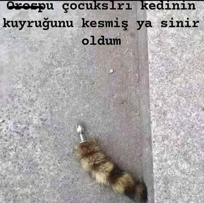 Anal tıkaç aldım kaslara bir zararı olur mu? ?