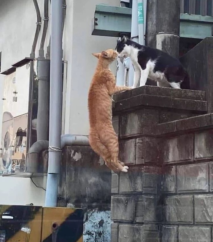 Suç ortağım olur musunn