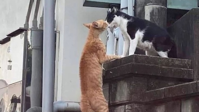 Aşk sizi yola mı getirir, yoksa yoldan mı çıkarır?