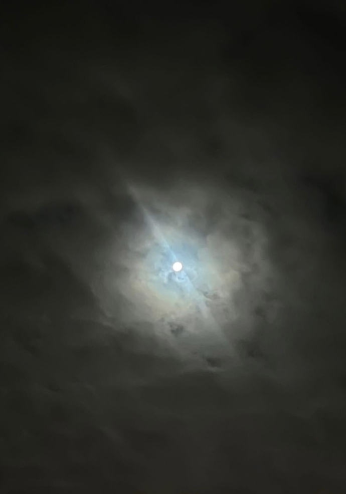 🌕