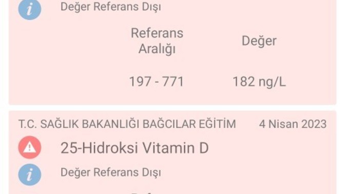 Kan testi yaptırdım B12 ve d vitamin kırmızı yanıyor ne demek bu?