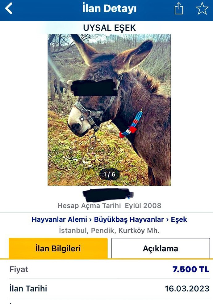 Türkiye'de 500 bin TL'nin altında sadece 2 araba kaldı. Bu fiyatlarla yaya kalanlar kimler?