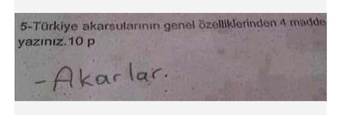 Başarılı bir ögrenci miydiniz?