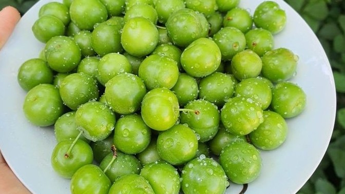 Ucuzlasın koşa koşa gidip alacağım dediğiniz yaz meyvesi nedir?