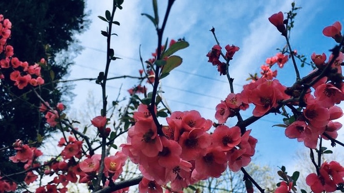 Seni üzmeyecek, seni anlayacak, seni mutlu edecek birini bulabileceğine, buna inancın var mı?