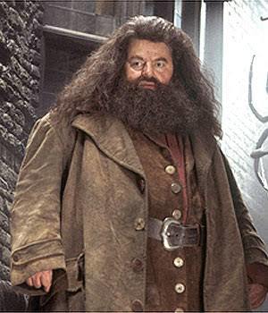 Harry potter hayranı olan var mı?