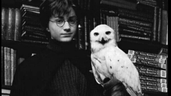 Harry Potter serisinin kaçıncı filmi ve hangi karakteri favoriniz?