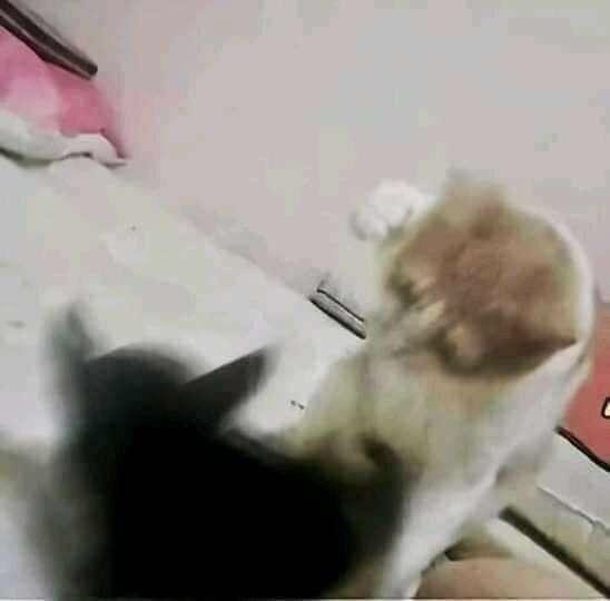 Anlık modun ne?