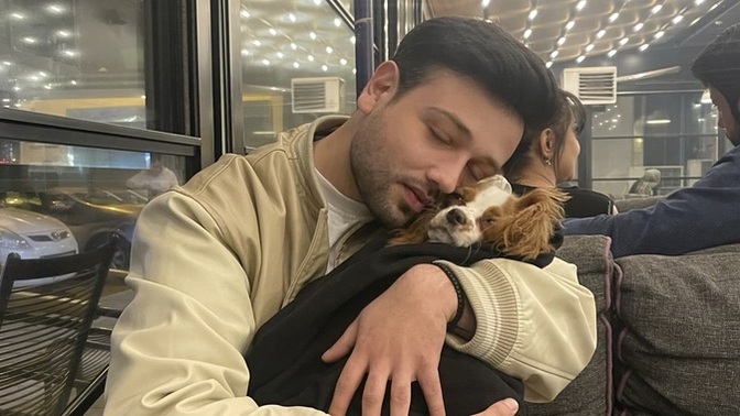 En sevdiğiniz hayvan hangisi?
