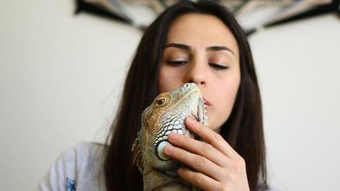 Kertenkele yılan örümcek besleyen kişiyle sevgili olur musunuz?