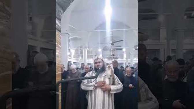 Teravih namazına giden kedi hakkındaki düşünceleriniz neler?