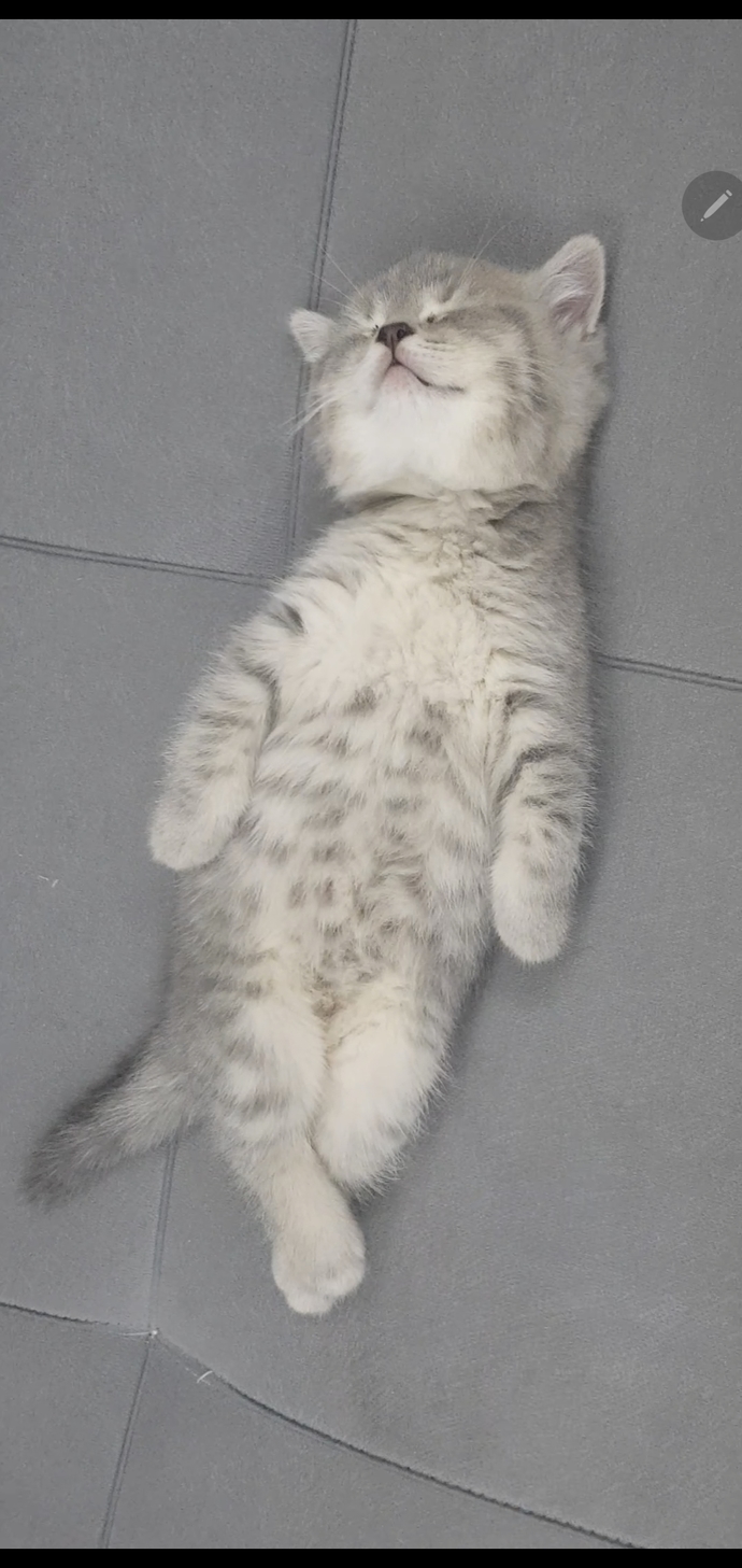 Sabah uyandığınızda kimi karşınızda görmek isterdiniz?