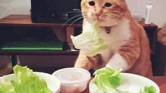 En son ne zaman diyet yaptın?