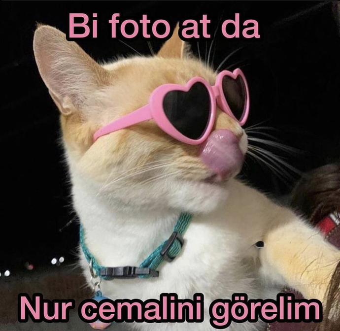 Ansızın fotoğrafını görmek istediğiniz birisi var mı?