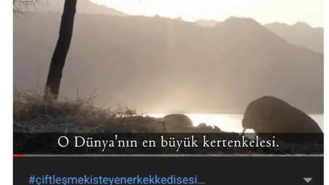 Karşı tarafa zevk verdiğinizi nasıl anlarsınız?