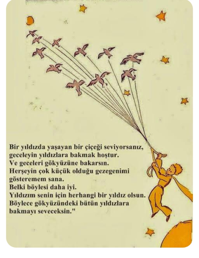 Sizin yıldızınız kim?