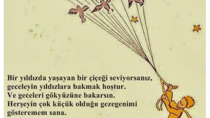 Sizin yıldızınız kim?