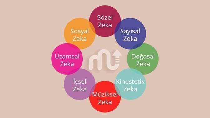 Hangi zeka türüsün?