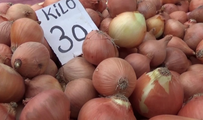 B&uuml;lent Arın&ccedil;, soğan 30 lira dedi