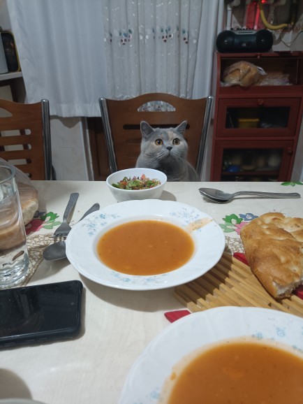İftarı bekleyen minnoş nasıl?