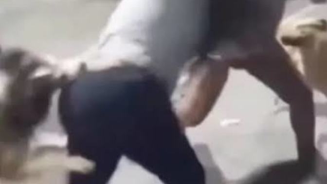 Sizce hangi çocukla yaşamak daha keyifli kız mı erkek mi?