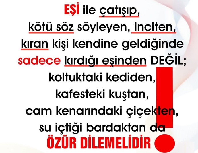 Problemli evliliklere örnek verebilir misiniz? Problemli evliliklerin size göre ana sebebi nedir?