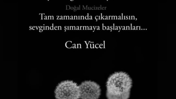 Verdiğiniz sevginin fazla geldiği biri oldu mu?