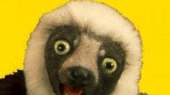 Zoboomafoo'yu hatırlayan var mı?