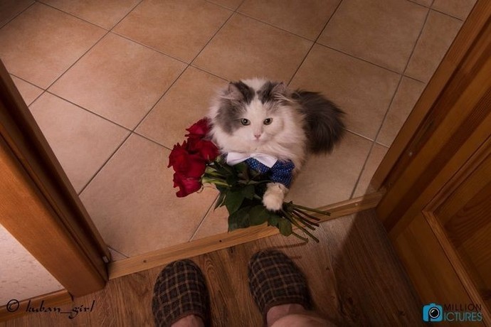 Sence romantik biri misin?