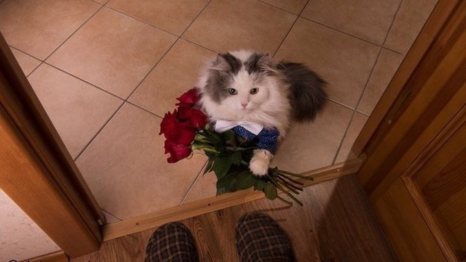 Sence romantik biri misin?
