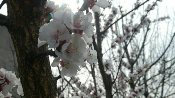 Sana bahar geldi mi🌸?