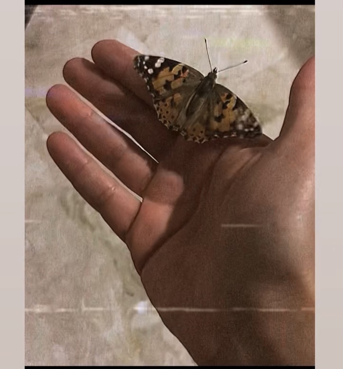 Sürekli üstüme kelebek konuyor neden?