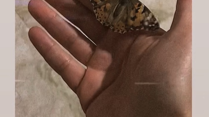 Sürekli üstüme kelebek konuyor neden?