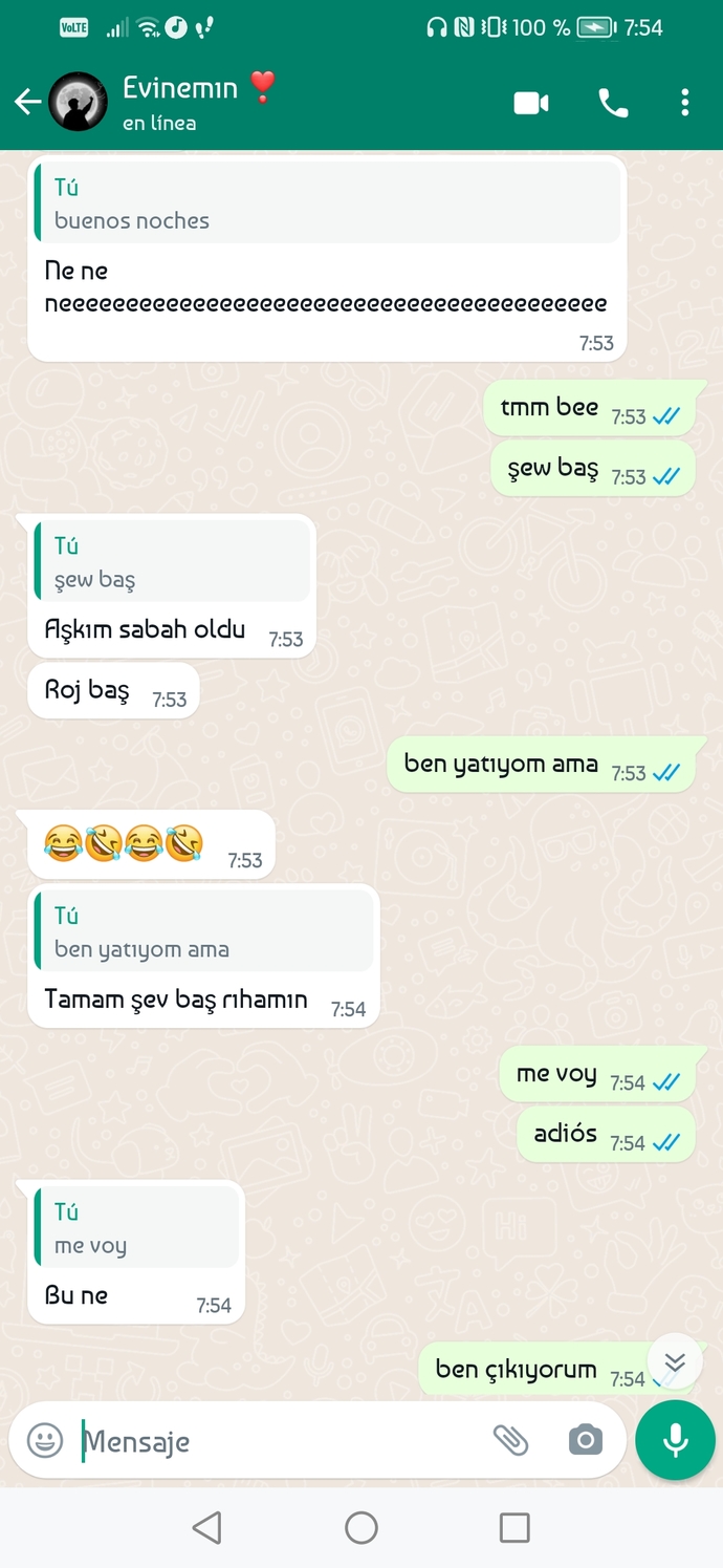 Sevgilinizle genelde ne konuşursunuz?