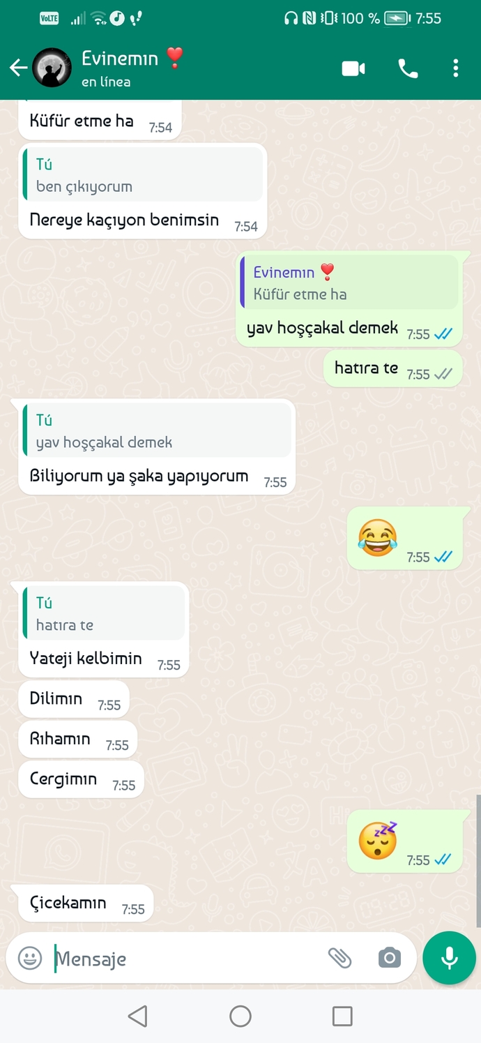Sevgilinizle genelde ne konuşursunuz?