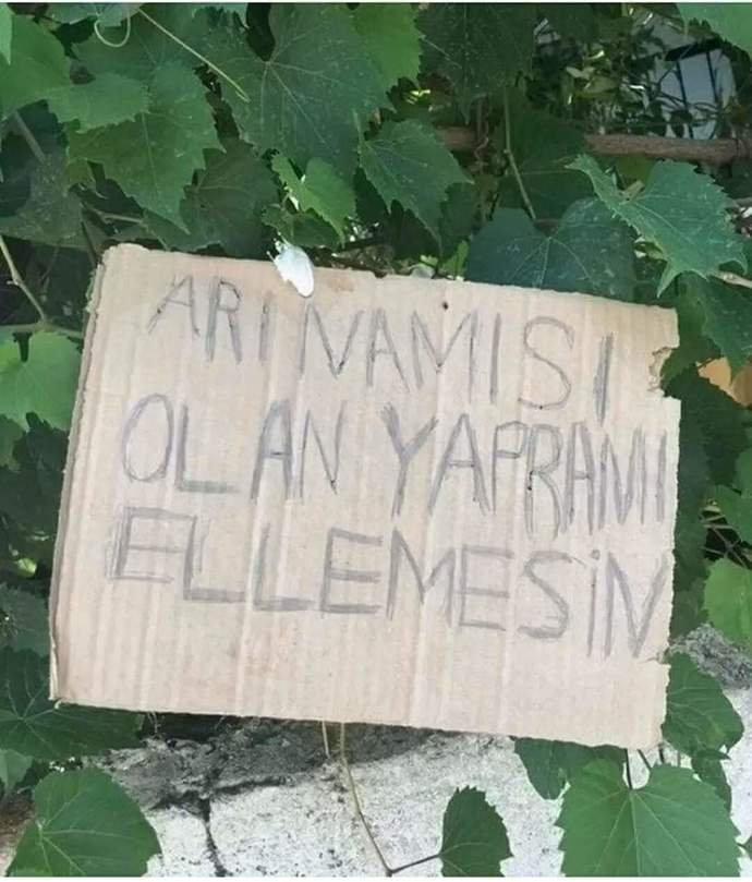 Sana söz bırakim mi?