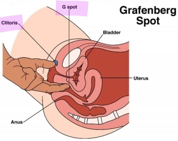 Orgazm nasıl olabilirim?