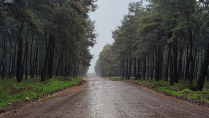 Size neyi hatırlatıyor?