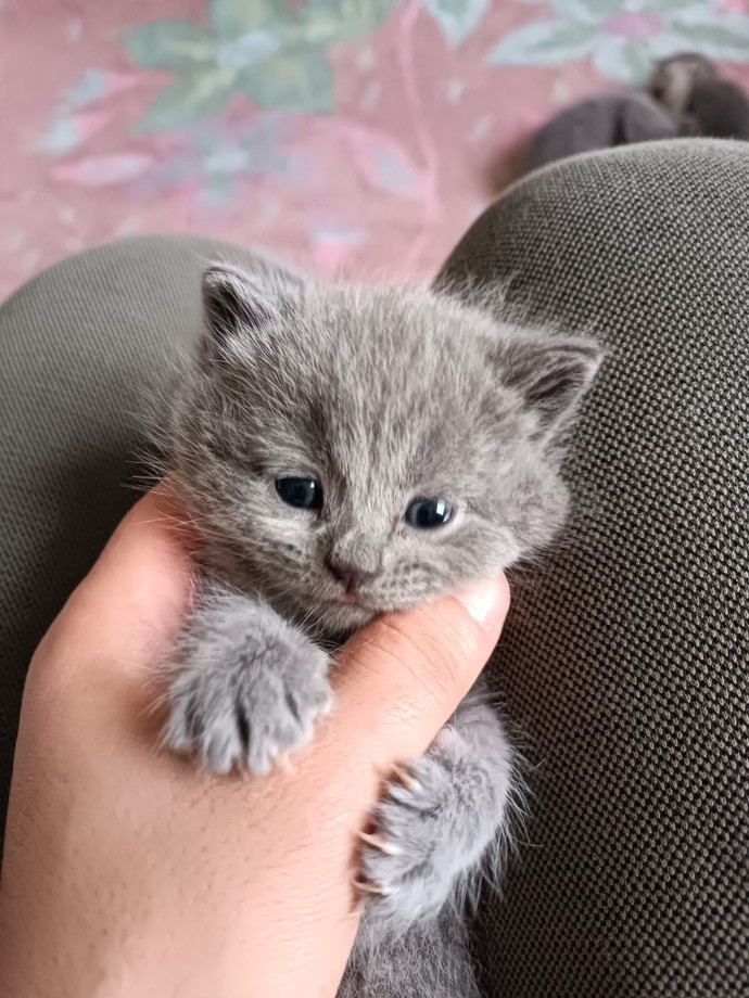 Sana göre ideal ilişki nedir?