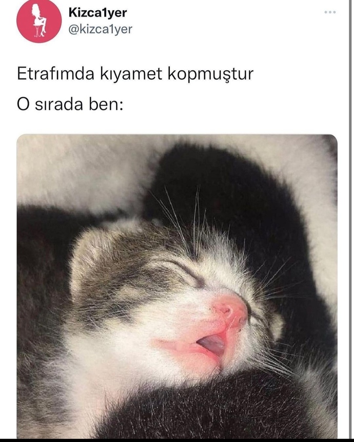 Vurdum duymaz mısın, her şeyi kafaya takan mı?