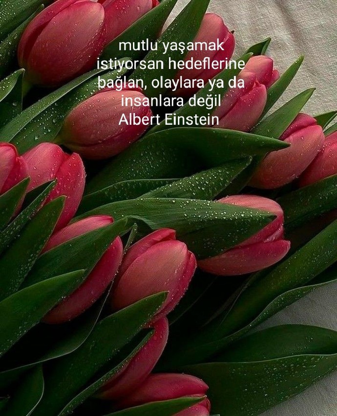 Bir not verecek olsaydınız bu ne olurdu?