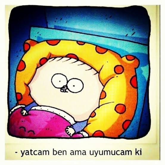 Uykusuzluktan muzdarip bir ben miyim?