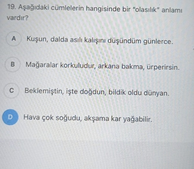 Cevapları doğru mu?