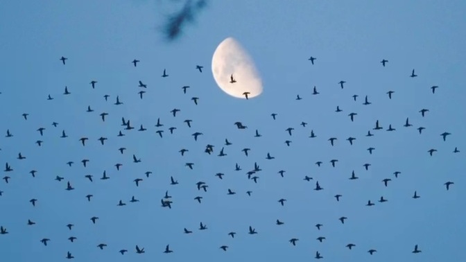 İnsan aradığı şeydir derler. Peki sence ne demek isterler? Sen ne arıyorsun?