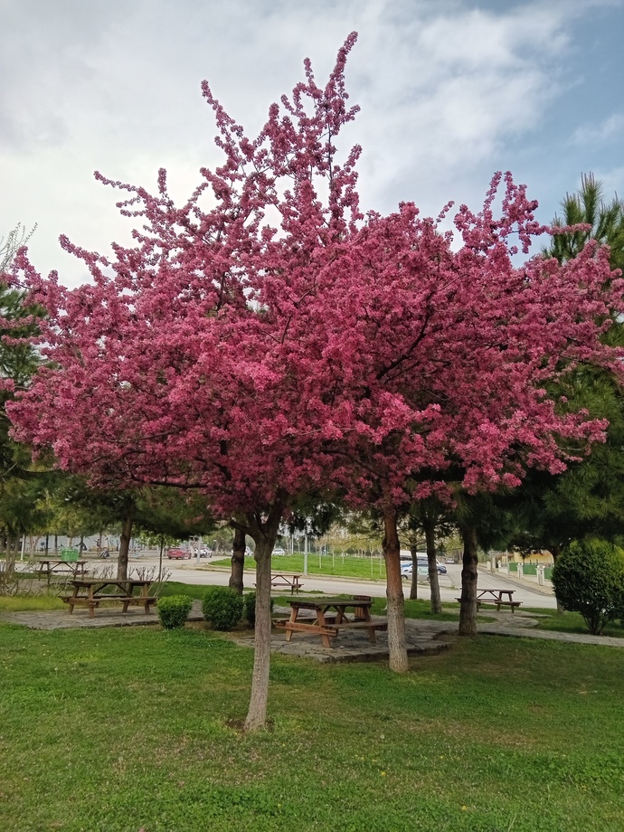 Nefret ettiğin bir şey söyler misin?