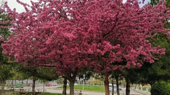 Nefret ettiğin bir şey söyler misin?