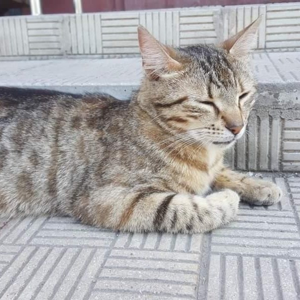 Doğduğun aya göre hangi kişilik özelliklerine sahipsin?