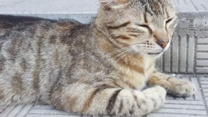 Doğduğun aya göre hangi kişilik özelliklerine sahipsin?